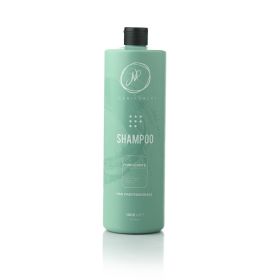 Σαμπουάν κατά της πιτυρίδας JEAN ROBERT Purificante 1000ml