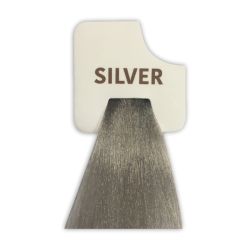 Βαφή μαλλιών NEVITALY BB Color Cream Silver 100 ml