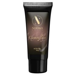 UV/LED Acrygel NORIKO NAILS Camouflage 60 g