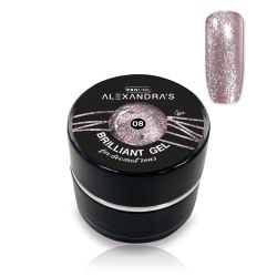 Gel painting ALEXANDRA`S PROLINE Brilliant Gel #8