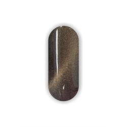 Pigment Secretly Fairy Dust Magnetic Chameleon #1