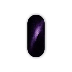Pigment Secretly Fairy Dust Magnetic Chameleon #2