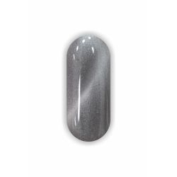 Pigment Secretly Fairy Dust Magnetic Chameleon #5